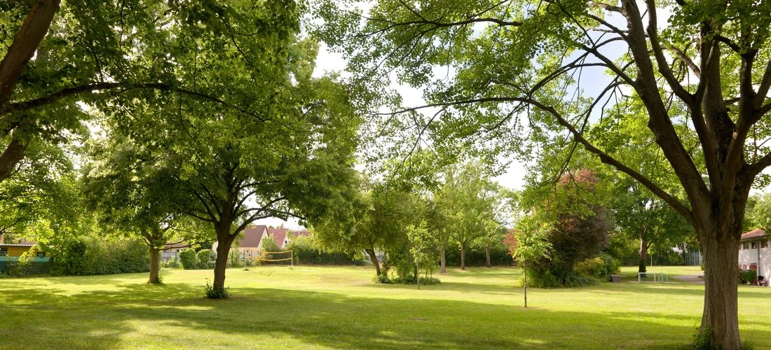 Parkähnliche Liegewiese